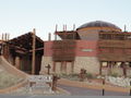 Twee Rivieren Restcamp - Kgalagadi Park