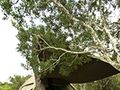 Addo Elephant Park Spekboom Tented Camp