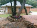 Magalies Tranquil Haven