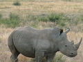 Pilanesberg Game Reserve