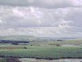 Seekoeivlei Nature Reserve