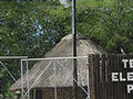 Tembe Elephant Park