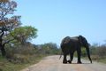 Kruger National Park