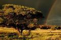 Mokala National Park