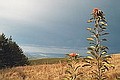 Solitude Retreat Centre