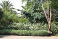 African Gardens Apartments
