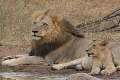 Naledi Bushcamp
