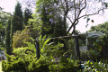 Craighall Garden