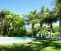 Constantia Palms