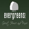 Evergreens On Allan