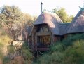 Hakuna Matata Lodge