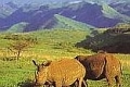 Ithala Game Reserve