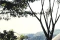 Oribi Gorge Nature Reserve
