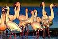 iSimangaliso Wetland Park