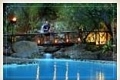 Mabula Private Game Reserve