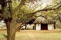 Balule (Satellite Camp) - Kruger Park