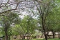 Crocodile Bridge Restcamp - Kruger Park