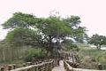 Lower Sabie Restcamp - Kruger Park