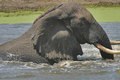 Tembe Elephant Park