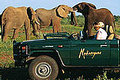 Madikwe Game Reserve