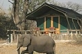 Selinda Camp