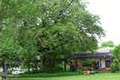 Big Tree B&B