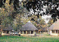 Bungalow