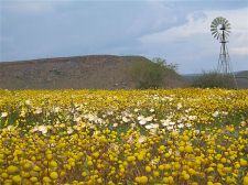 Namaqualand