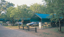 Safari Tent