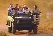 Safaris
