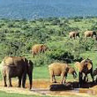 Eastern Cape Bed and Breakfasts