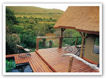 Shamwari Game Reserve