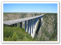 Highest Bungi Jump
