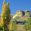 Free State Bed and Breakfasts