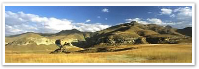 Free State