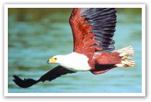 Lake_Sibaya