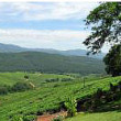 Limpopo Bed and Breakfasts
