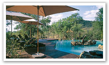 Game Lodges in Madikwe Game Reserve