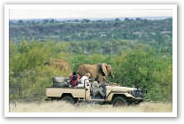 Pilanesberg National Park