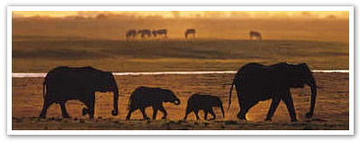 Pilanesberg