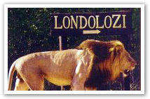 Londolozi