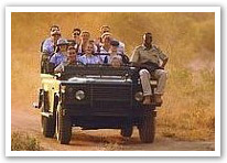 Safaris