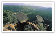 Welgevonden Game Reserve in the Waterberg