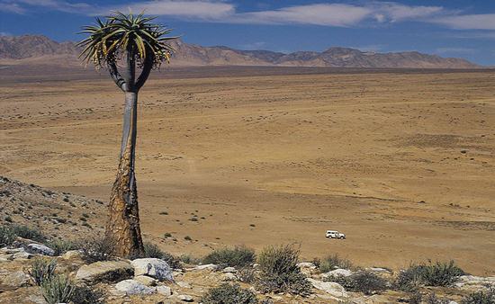 [Imagen: Richtersveld.jpg]