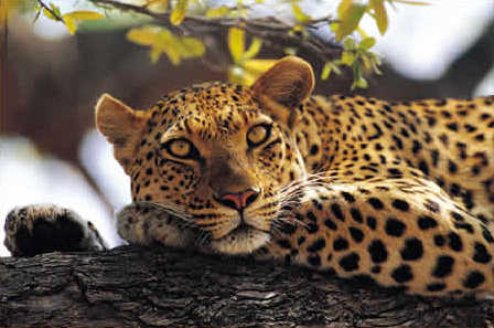 Kwa Maritane Lodge