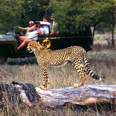 Sabi Sabi Game Reserve