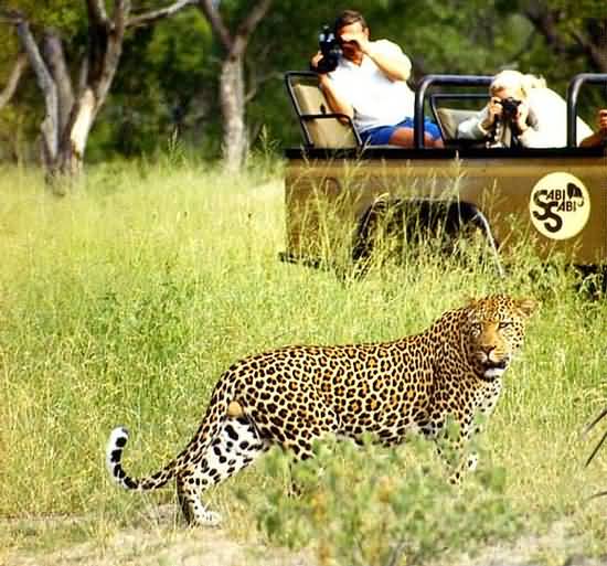 Sabi Sabi Game Reserve