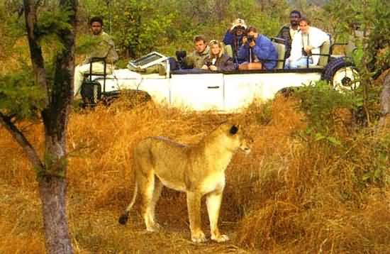 Savanna Private Game Reserve