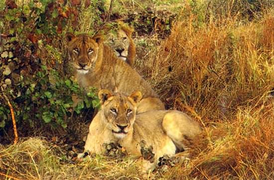 Savanna Private Game Reserve