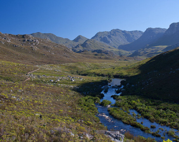 Kogelberg: the finest example of mountain fynbos